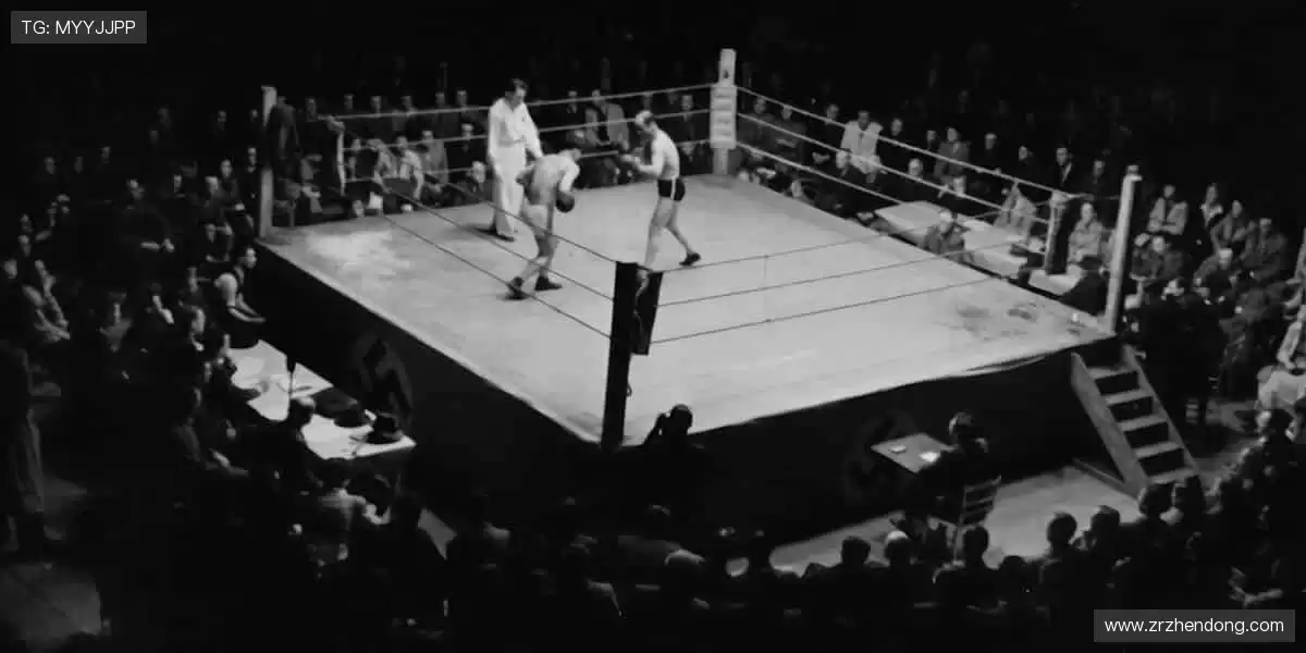 🎯 限量周边，粉丝专属！🎁